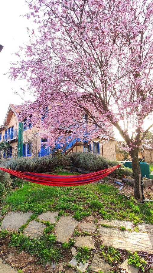 Albergue De Peregrinos Casa Flor Murias de Rechivaldo Kültér fotó