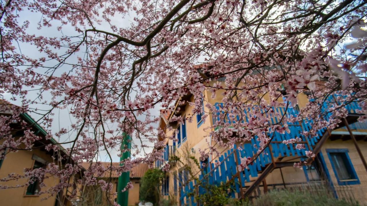 Albergue De Peregrinos Casa Flor Murias de Rechivaldo Kültér fotó